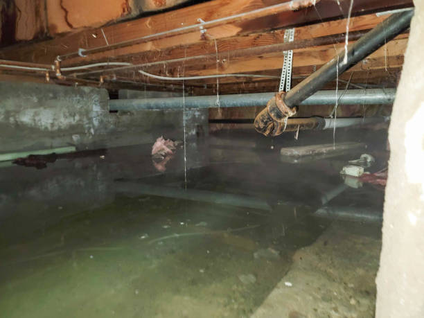 Best Flood restoration services  in Graton, CA