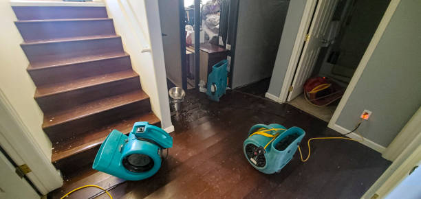 Best Flooded house restoration  in Graton, CA