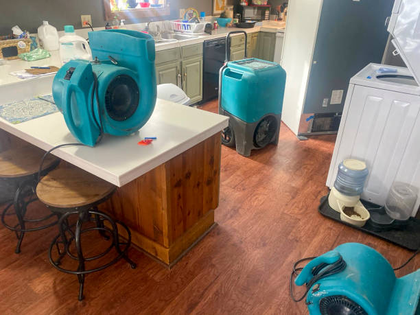 Best Water damage cleanup near me  in Graton, CA