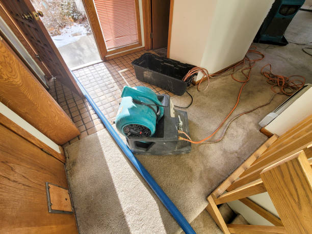 Best Local water damage restoration  in Graton, CA