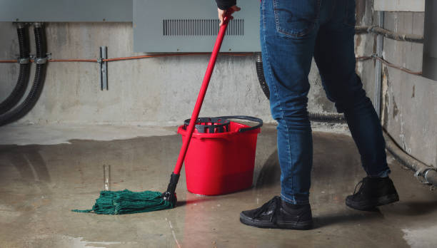 Best Water damage contractors near me  in Graton, CA