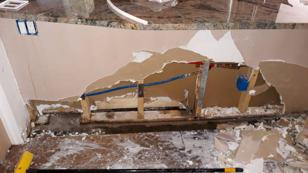 Best Professional water damage repair  in Graton, CA