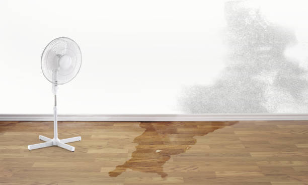 Best Residential water damage restoration  in Graton, CA