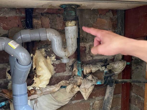  Graton, CA Water damage restoration Pros