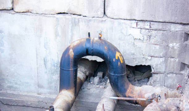 Best Fire Damage Restoration  in Graton, CA