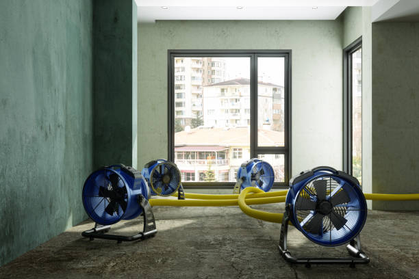 Trusted Graton, CA Water damage restoration Experts
